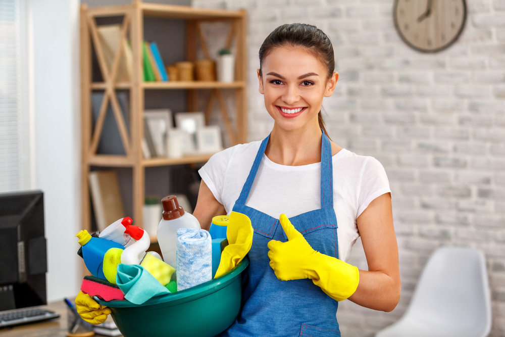 Difference between maid and housekeeper