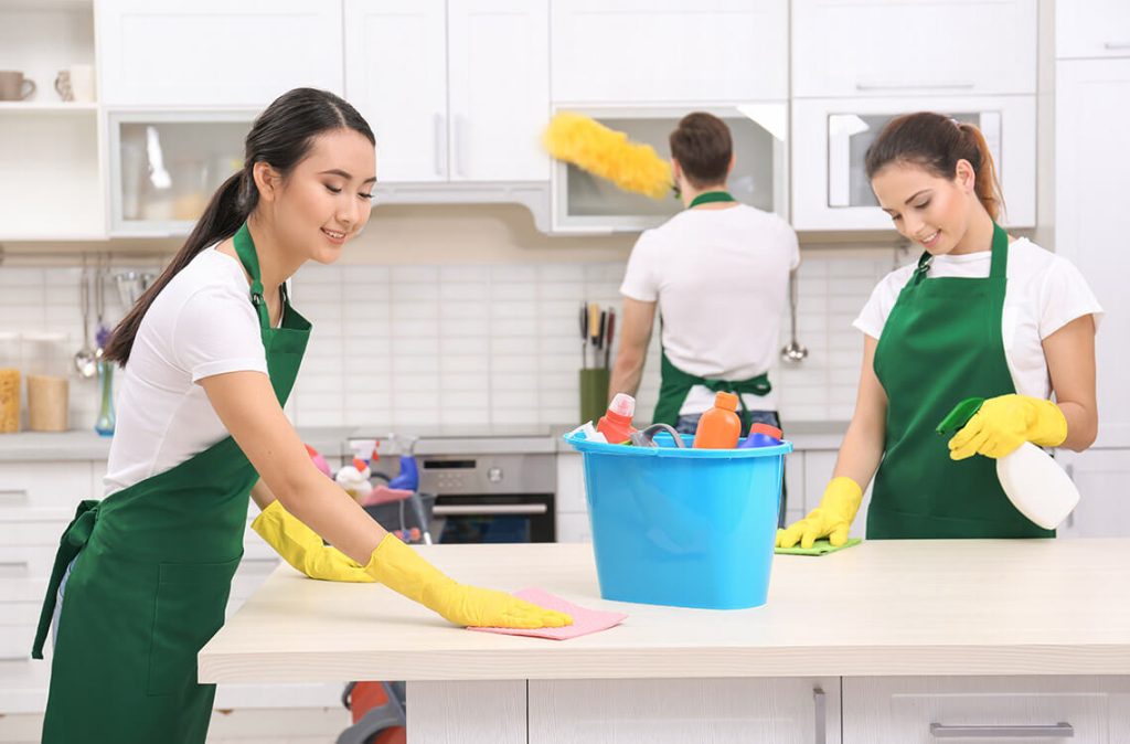 employment act for domestic workers