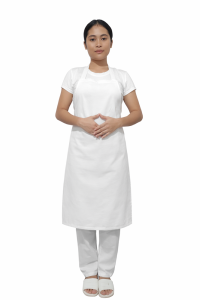 GA121 6 maid agencies